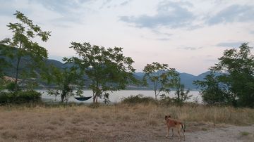 Bei Boljetin im Djerdap Nationalpark
